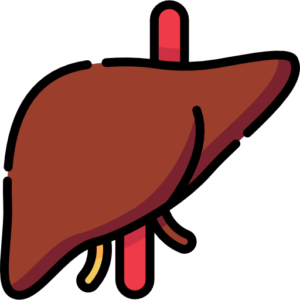 LFT ( LIVER FUNCTION TEST )