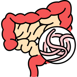 MP ( MALARIAL PARASITE )